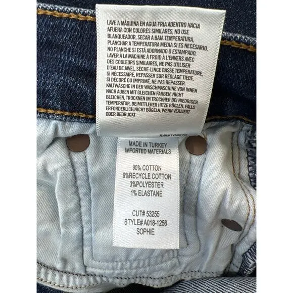 Agolde Denim Sophie Mid Rise Skinny Jean Cabana Blue Medium 28 6 Casual Staple