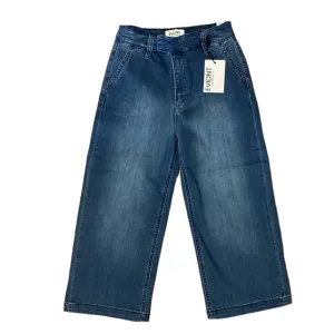 ANTHROPOLOGIE x Evidnt Y2K 1990s Wide Leg Malibu Luxury Denim Jeans