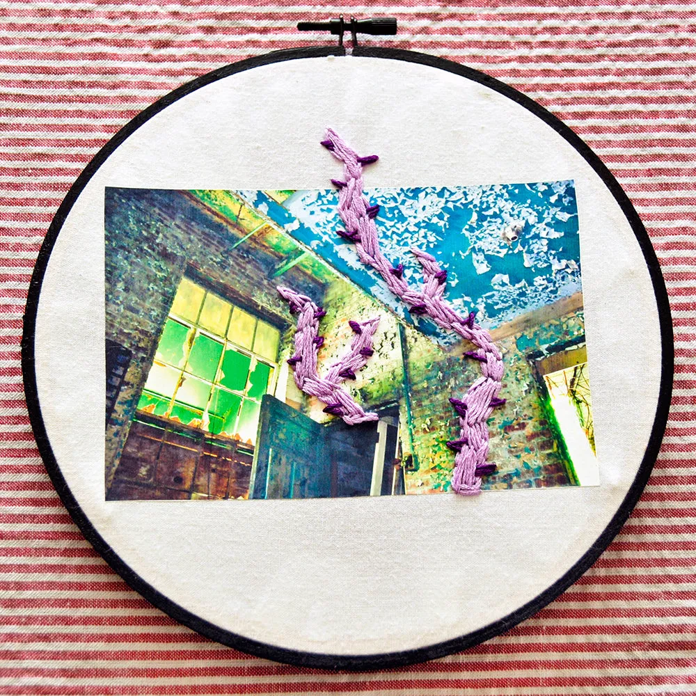 Ghosts In Your Head - Purple Vines Photo Print (S/M/L sizes available)