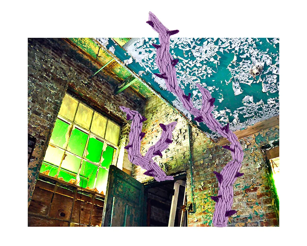 Ghosts In Your Head - Purple Vines Photo Print (S/M/L sizes available)