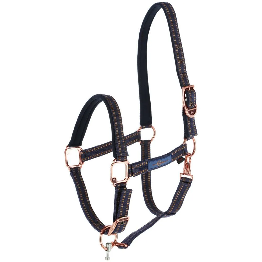 GoLeyGo Rose Gold Halter and Lead Set