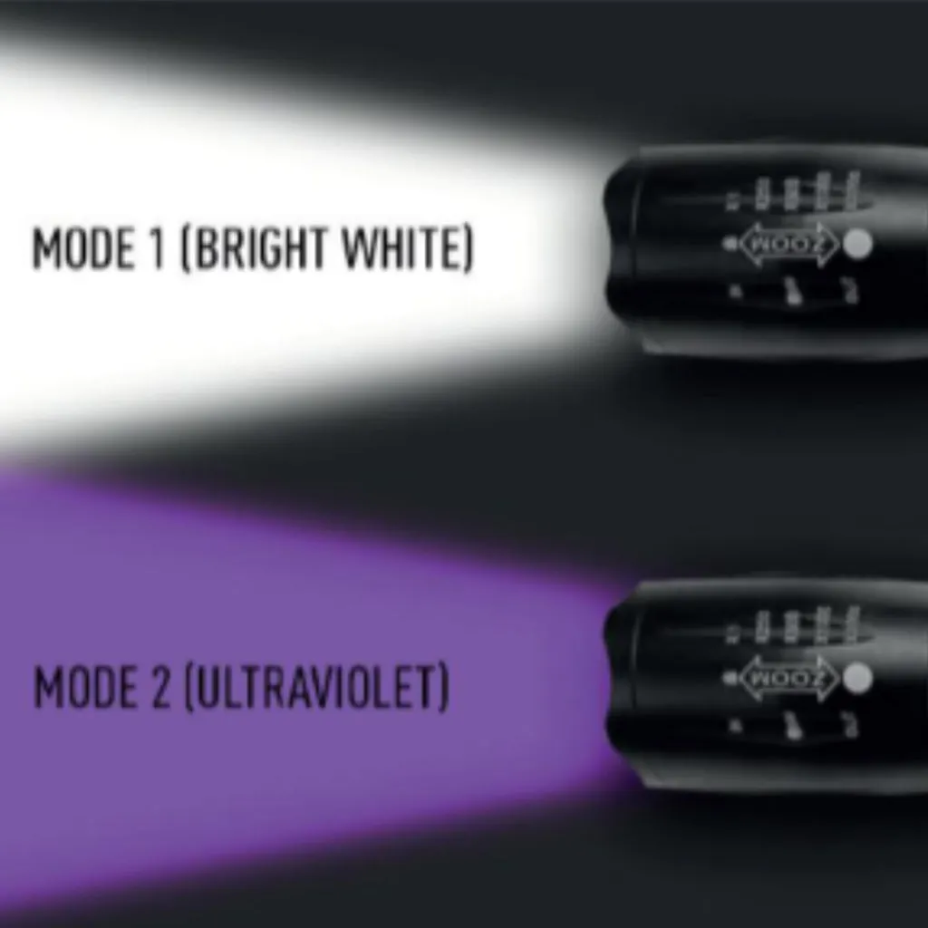 Inova Dual UV/LED Torch