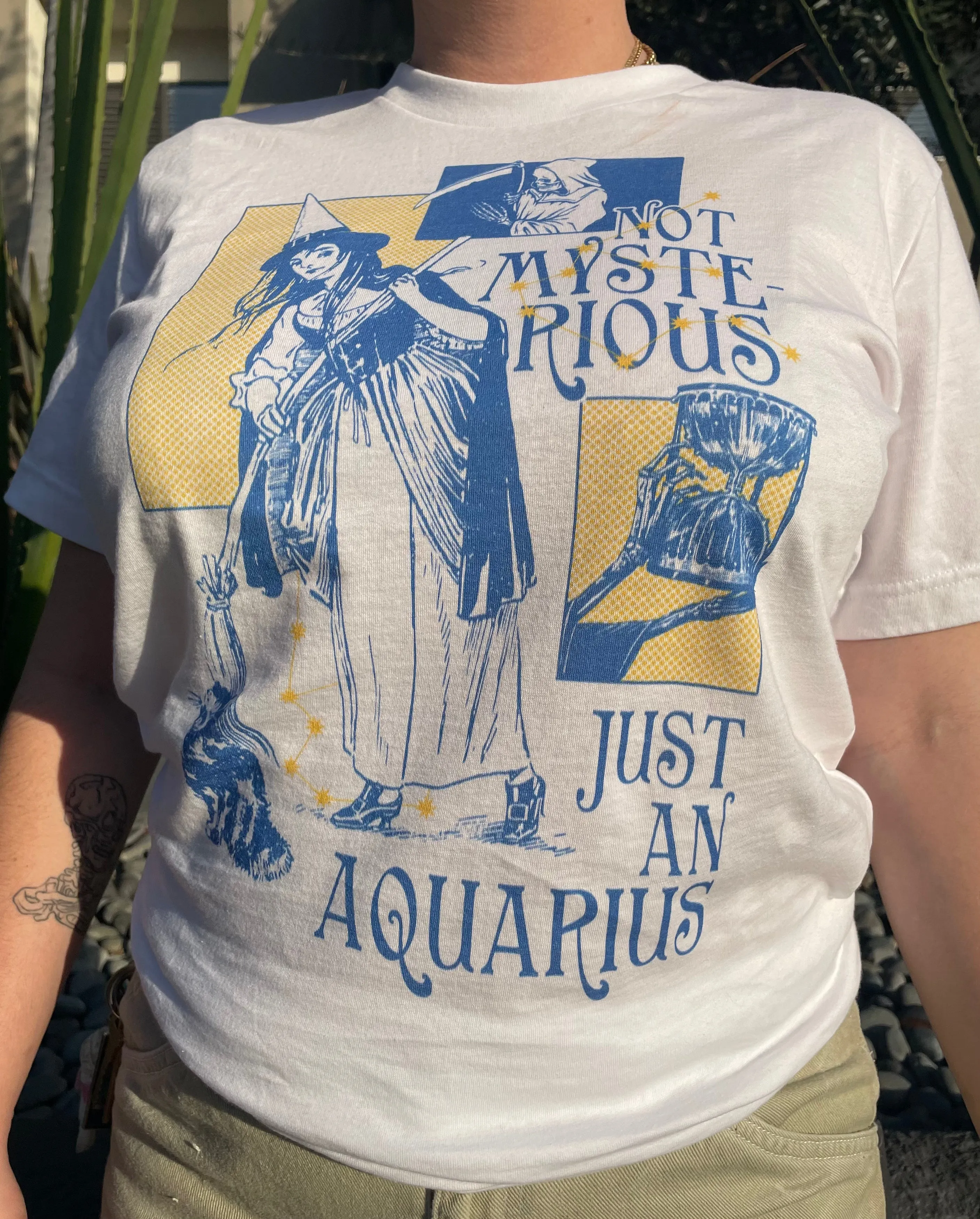 Not Mysterious, Just An Aquarius T-Shirt