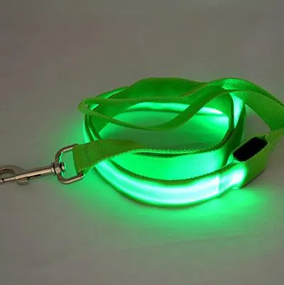 Nylon LED Light Up Dog Leash