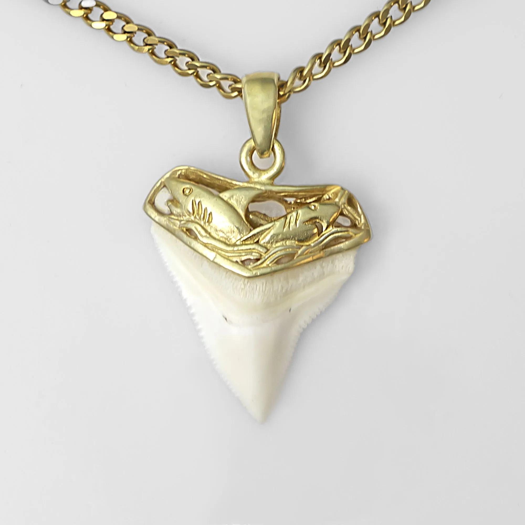 Shark Tooth Necklace Gold Plated gp4
