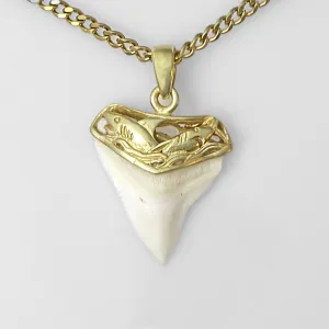 Shark Tooth Necklace Gold Plated gp4