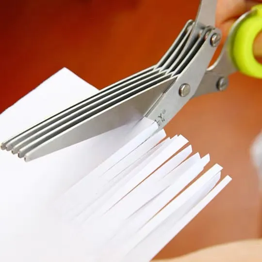 Stainless Steel Multi-function 5 Layers Kitchen Scissors