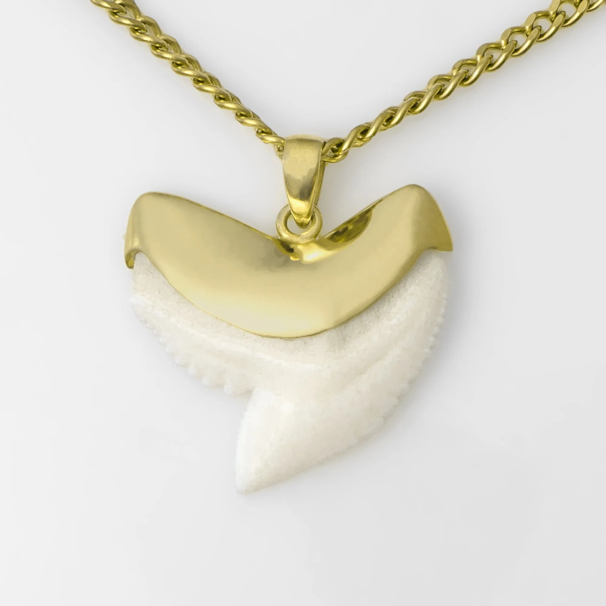 Tiger Shark Tooth Necklace Gold Plated gp6