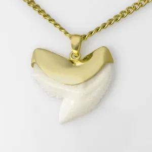 Tiger Shark Tooth Necklace Gold Plated gp6