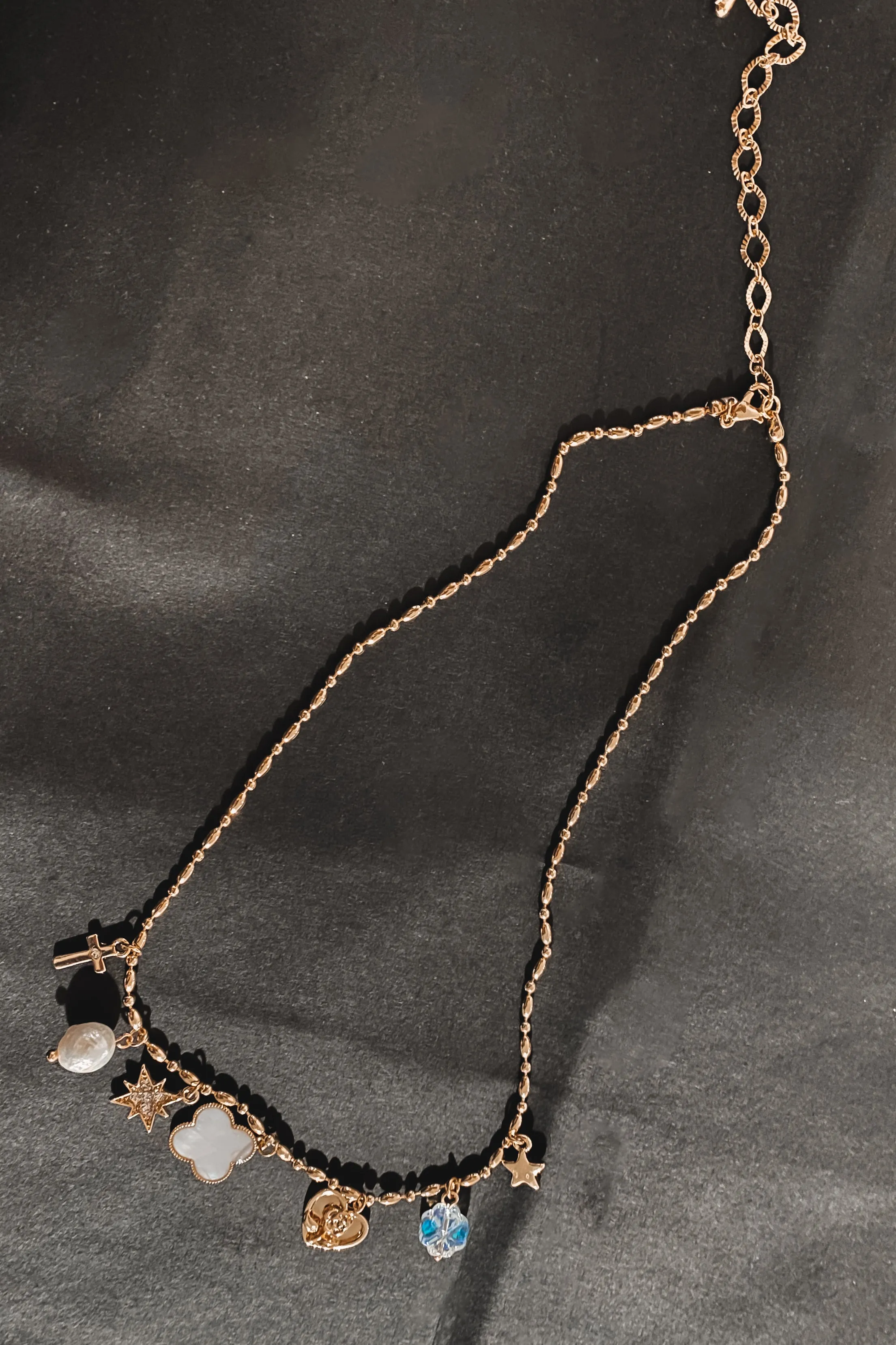 Turning On The Charm Multi Charm Necklace